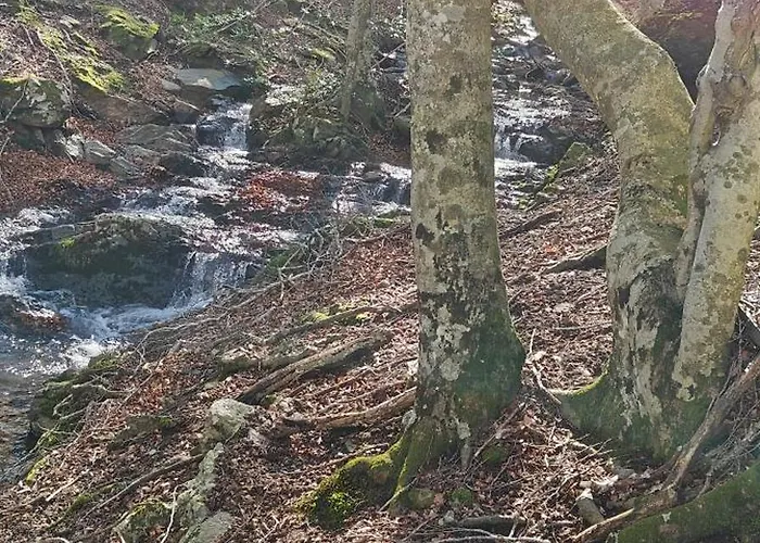 Passage Des Jardins *